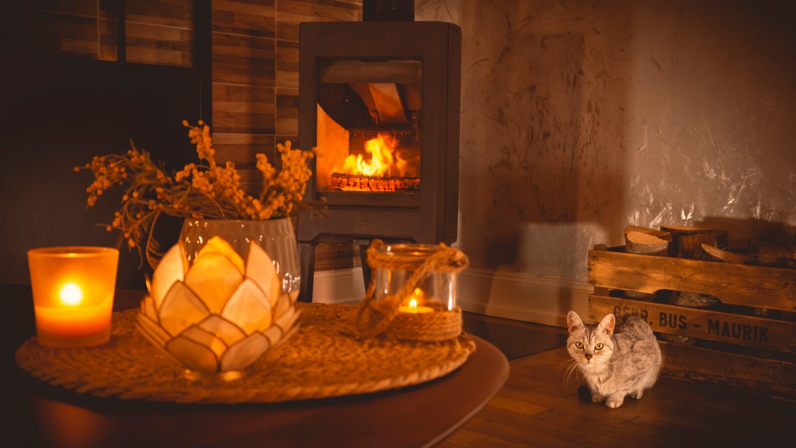 Déménagement de Poêle à bois